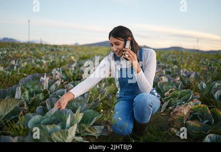 Femme agriculteur parlant sur son smartphone tout en étant assise dans un champ de chou. Jeune femme brune utilisant son appareil mobile sur une ferme végétale biologique Banque D'Images