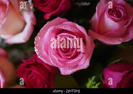 gros plan de fleur rose passionnée recouverte de gouttes de pluie. sur un bouquet de fleurs. Banque D'Images