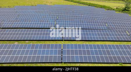 Vue aérienne des rangées de panneaux solaires en place dans un champ de ferme. Personne. Banque D'Images