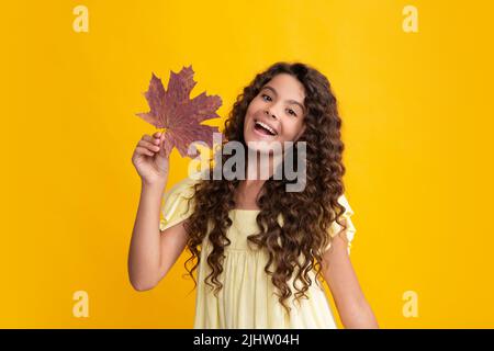 Ambiance automnale. Enfant fille en automne laisse adolescente fille avec le chêne et feuille d'érable isoalté sur fond jaune. Feuillage d'automne. Banque D'Images