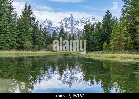 Reflet des Grands Tetons sur la rivière Snake à Schwabacher Landing dans le parc national de Grand Teton, Wyoming Banque D'Images