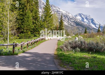 Sentier de randonnée près du lac Jenny dans le parc national de Grand Teton, Wyoming Banque D'Images