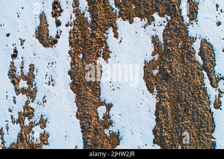 Une antenne de neige et de glace qui fondait sur un pré au début du printemps en Estonie, en Europe du Nord Banque D'Images