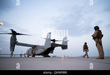 Les spécialistes du carburant en vrac du corps des Marines des États-Unis et les chefs d'équipage du MV-22 Osprey sont affectés à un MV-22 affecté à l'escadron marin de Tiltrotor moyen (VMM) 163 au camp Lemonnier, Djibouti, 13 juillet 2022. Le VMM 163 a été déployé au Camp Lemonnier pour soutenir la Force opérationnelle interarmées combinée - Corne de l'Afrique en fournissant des capacités de récupération du personnel et d'évacuation des victimes des forces américaines dans toute l'Afrique de l'est. (É.-U. Photo de la Force aérienne par le premier Airman Bryan Guthrie) Banque D'Images