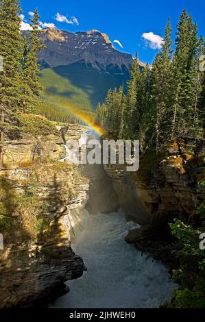 Une verticale de l'Athabasca tombe sur la rivière Athabasca, avec un arc-en-ciel et le mont Kerkeslin qui se profilent en arrière-plan. Banque D'Images