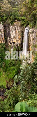 Purling Brook Falls en magnifique vue panoramique. Banque D'Images
