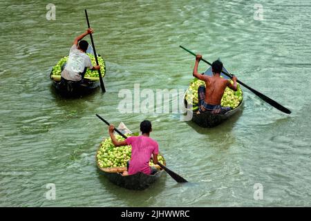 Marché flottant de goyave sur des bateaux à Barisal, Jhalakathi, Swaroopkathi. Fruits tropicaux frais, vendeurs locaux, produits colorés, commerce fluvial, traditionnel Banque D'Images