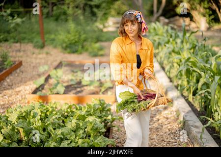 Jeune agriculteur avec des légumes fraîchement cueillis dans le jardin Banque D'Images