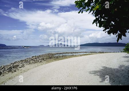 Plage à Raja Ampat, Papouasie, Indonésie Banque D'Images