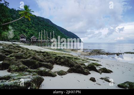 Plage à Raja Ampat, Papouasie, Indonésie Banque D'Images