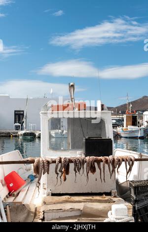 Poulpe fraîche séchant sur un bateau de pêche à Naousa Banque D'Images