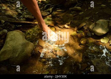 Une femme pieds nus se déplace avec élégance, avec un gros plan de mettre son pied dans une flaque d'eau douce claire dans une nature, tandis que sunbeam réfléchit sur son pied Banque D'Images