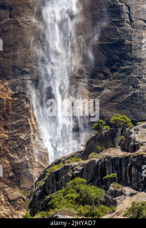 Upper Yosemite Fall du Lower Yosemite Fall Trail, parc national de Yosemite, Californie Banque D'Images