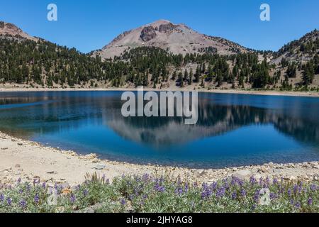 Lassen Peak se reflète dans le lac Helen en été, parc national volcanique de Lassen, Californie Banque D'Images