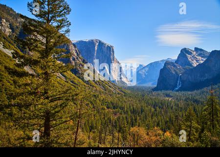 Vue sur le célèbre tunnel de Yosemite avec pins en premier plan Banque D'Images