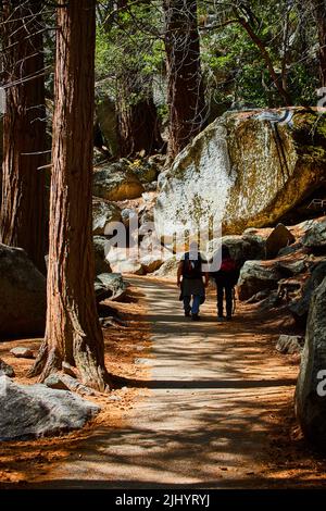 Deux randonneurs marchant sur un chemin pavé à travers une forêt de pins avec des rochers mousseux géants Banque D'Images