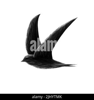 Illustration sombre oiseau SWIFT, logo SWIFT Banque D'Images