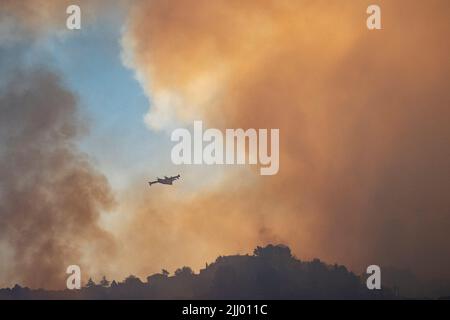 Massarosa, Italie. 20th juillet 2022. Un immense feu a frappé les collines de Massarosa, en Toscane, en Italie sur 20 juillet 2022, environ 700 hectares de bois brûlé, environ 100 maisons et 500 personnes évacuées, pendant trois jours 4 avions canadair et 6 hélicoptères travaillent pour essayer de mettre les flammes. (Photo de Federico Neri/Pacific Press/Sipa USA) crédit: SIPA USA/Alay Live News Banque D'Images