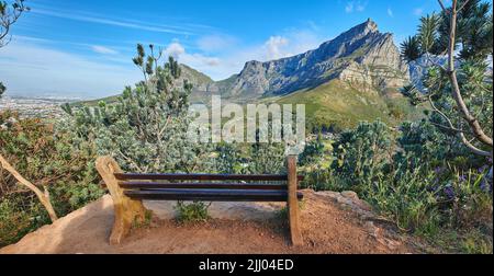 Banc avec vue reposante et apaisante au sommet de Table Mountain avec une scène de Lions Head contre un ciel bleu. Arbres et buissons verts luxuriants Banque D'Images