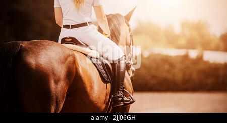 Une vue arrière d'un cheval de baie avec un cavalier dans la selle, qui gallère un jour ensoleillé. Sports équestres. Équitation. La vie équestre. Banque D'Images