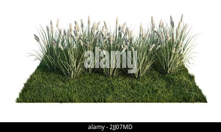 Une image de rendu 3D d'un grand nombre de fleurs d'herbe sur un champ d'herbe verte Banque D'Images