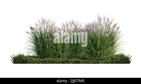 Une image de rendu 3D d'un grand nombre de fleurs d'herbe sur un champ d'herbe verte Banque D'Images