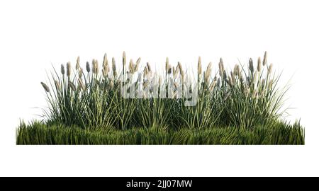 Une image de rendu 3D d'un grand nombre de fleurs d'herbe sur un champ d'herbe verte Banque D'Images