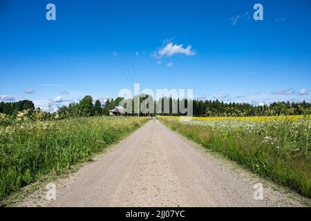 Route rurale de terre ou de gravier entre les champs dans la campagne finlandaise. Orivesi, Finlande. Banque D'Images
