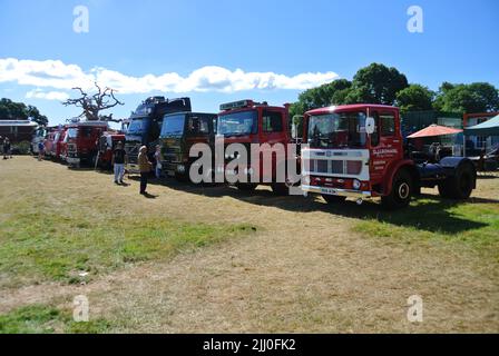 Une ligne de camions commerciaux classiques garés en exposition au salon de voitures classiques de la collection de véhicules historiques de 47th, Powderham, Devon, Angleterre, Royaume-Uni. Banque D'Images