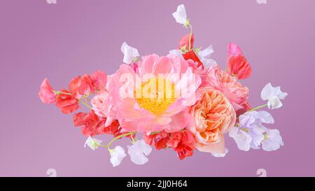 Bouquet de pivoines roses et roses closeup isolé sur fond violet Banque D'Images