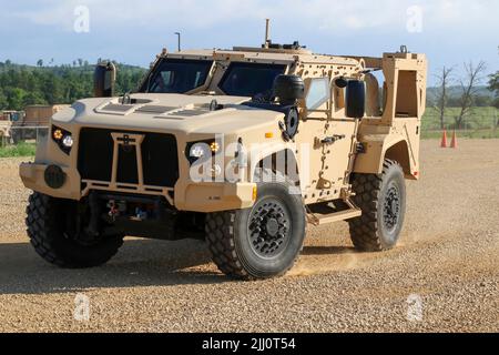 Les soldats du bataillon des affaires civiles de 492nd apprennent à connaître le véhicule tactique de la lumière interarmées au cours d'un cours d'entraînement de quatre jours à fort McCoy, Wisconsin, 20 juillet 2022. Au cours de cette partie de l'entraînement, ces soldats de la Réserve de l'Armée de terre suivent un parcours d'obstacles en apprenant comment le véhicule se manipule dans différentes situations. (É.-U. Photo de la réserve de l'armée par Zach Mott, 88th Readiness Division) Banque D'Images