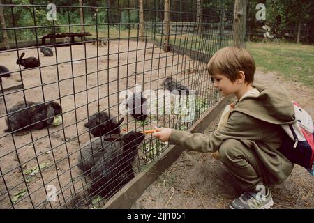 Mignon garçon enfant nourrissant des lapins Banque D'Images