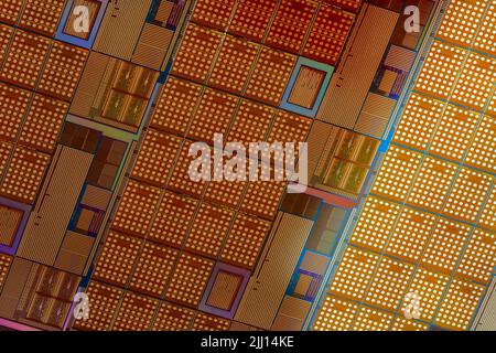 Plaquettes de silicium avec micropuces utilisées dans l'électronique pour la fabrication de circuits intégrés. Arrière-plan macro haute technologie plein format. Banque D'Images