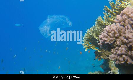 Pollution plastique de l'océan, un sac en plastique de wtite jeté sur le récif tropical de corail, sur le fond bleu de l'eau naine l'école de poissons tropicaux. Non Banque D'Images