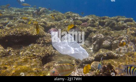 Pollution plastique de l'océan, un sac en plastique de wtite jeté sur le récif tropical de corail, sur le fond bleu de l'eau naine l'école de poissons tropicaux. Non Banque D'Images