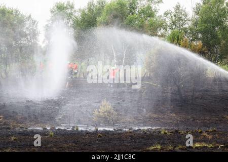 Sassenburg, Allemagne. 22nd juillet 2022. Les pompiers éteignent un incendie dans la Grande Moor, dans le district de Gifhorn. Jeudi, un incendie avait éclaté dans la lande sur une zone d'environ 35 terrains de football. Selon le service des incendies, les travaux d'extinction devraient durer plusieurs jours. Credit: Julian Stratenschulte/dpa/Alay Live News Banque D'Images