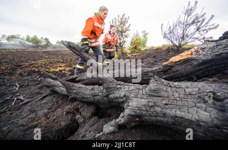 Sassenburg, Allemagne. 22nd juillet 2022. Deux pompiers marchent dans une zone charrée pendant les opérations de lutte contre les incendies dans la Grande Moor, dans le district de Gifhorn. Jeudi, un incendie avait éclaté dans la lande sur une zone d'environ 35 terrains de football. Selon le service des incendies, les travaux d'extinction devraient durer plusieurs jours. Credit: Julian Stratenschulte/dpa/Alay Live News Banque D'Images