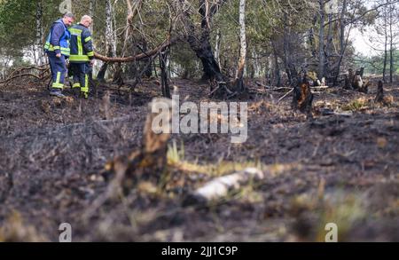 Sassenburg, Allemagne. 22nd juillet 2022. Deux pompiers marchent dans une zone charrée pendant les opérations de lutte contre les incendies dans la Grande Moor, dans le district de Gifhorn. Jeudi, un incendie avait éclaté dans la lande sur une zone d'environ 35 terrains de football. Selon le service des incendies, les travaux d'extinction devraient durer plusieurs jours. Credit: Julian Stratenschulte/dpa/Alay Live News Banque D'Images