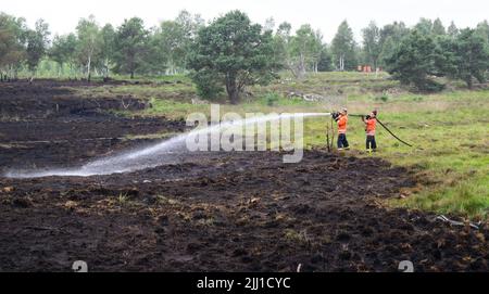 Sassenburg, Allemagne. 22nd juillet 2022. Deux pompiers ont éteint un incendie dans la grande Moor, dans le district de Gifhorn. Jeudi, un incendie avait éclaté dans la lande sur une zone d'environ 35 terrains de football. Selon le service des incendies, les travaux d'extinction devraient durer plusieurs jours. Credit: Julian Stratenschulte/dpa/Alay Live News Banque D'Images