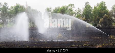 Sassenburg, Allemagne. 22nd juillet 2022. Les pompiers éteignent un incendie dans la Grande Moor, dans le district de Gifhorn. Jeudi, un incendie avait éclaté dans la lande sur une zone d'environ 35 terrains de football. Selon le service des incendies, les travaux d'extinction devraient durer plusieurs jours. Credit: Julian Stratenschulte/dpa/Alay Live News Banque D'Images