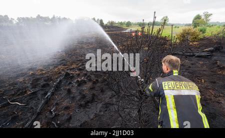 Sassenburg, Allemagne. 22nd juillet 2022. Un pompier éteint un incendie dans la Grande Moor dans le district de Gifhorn. Jeudi, un incendie avait éclaté dans la lande sur une zone d'environ 35 terrains de football. Selon le service des incendies, les travaux d'extinction devraient durer plusieurs jours. Credit: Julian Stratenschulte/dpa/Alay Live News Banque D'Images