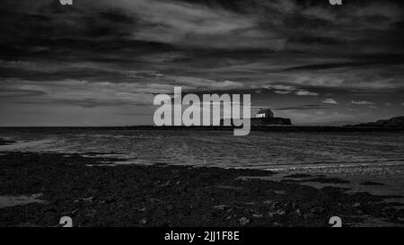 L'église accrocheuse de St Cwyfan sur l'île marécageuse de Cribinau, Porth Cwyfan, Anglesey, pays de Galles Banque D'Images