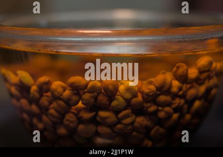 Gram Bengale ou Gram noir ou pois chiches trempés dans de l'eau de bol en verre Banque D'Images