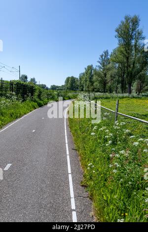 Une piste cyclable asphaltée à 2 voies le long de la A44 et des prairies en direction de la gare de Sassenheim dans la municipalité sud-néerlandaise de Teylingen on Banque D'Images