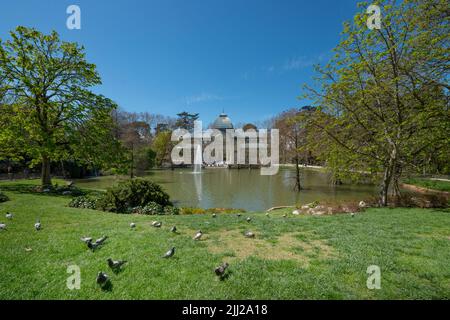 Paysage du lac Parque del Retiro avec Palais de Cristal et arbres, pigeons sur l'herbe et le ciel bleu Banque D'Images