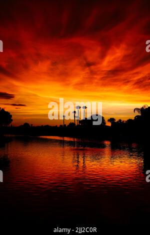 Une silhouette de palmiers qui se réfléchit sur l'eau au coucher du soleil. Banque D'Images