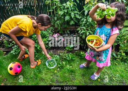 enfants avec des produits biologiques dans le jardin Banque D'Images