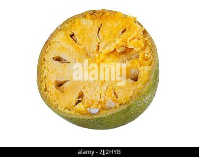 Aegle Marmelos bael fruits ou de la pomme de bois (bel patthar) sur fond blanc Banque D'Images