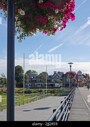 Paniers de fleurs sur les lampadaires sur un pont dans la ville hollandaise Hardenberg. Les paniers contiennent des pétunias roses et blancs et des géraniums roses. Banque D'Images