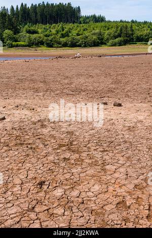 Sol cuit, fissuré et sec dans un réservoir presque vide pendant une vague de chaleur et une sécheresse (Llwyn Onn, pays de Galles) Banque D'Images